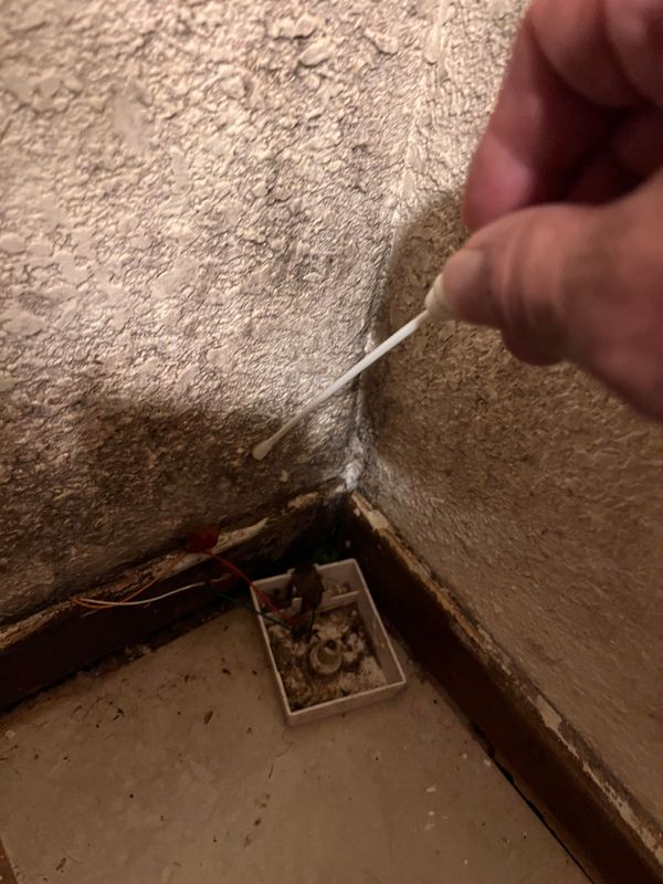 Mold Inspections