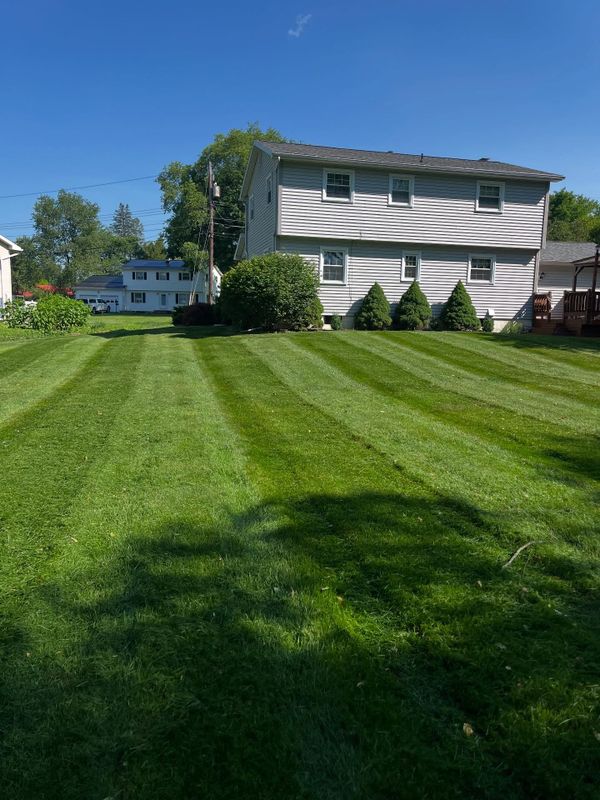 Lawn Mowing
