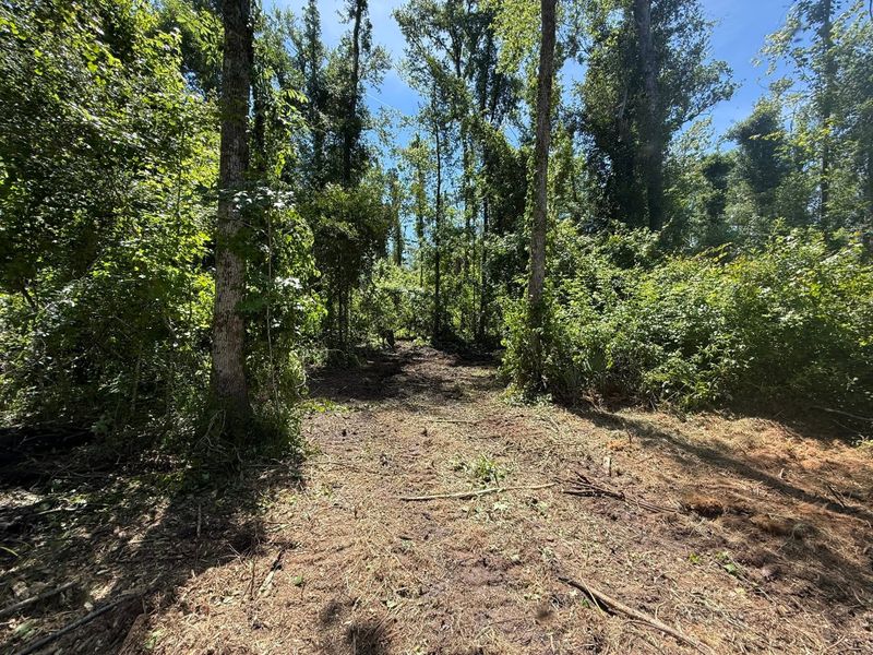 Land Clearing