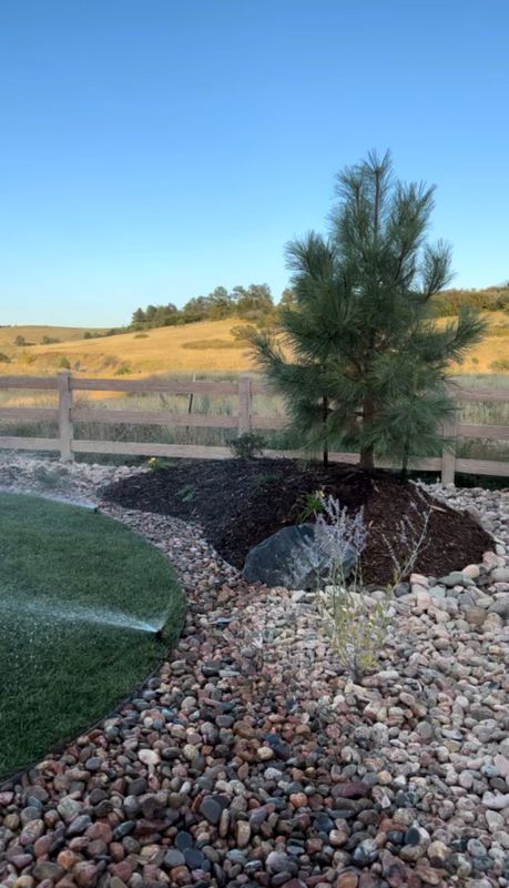 Landscape Design & Installation