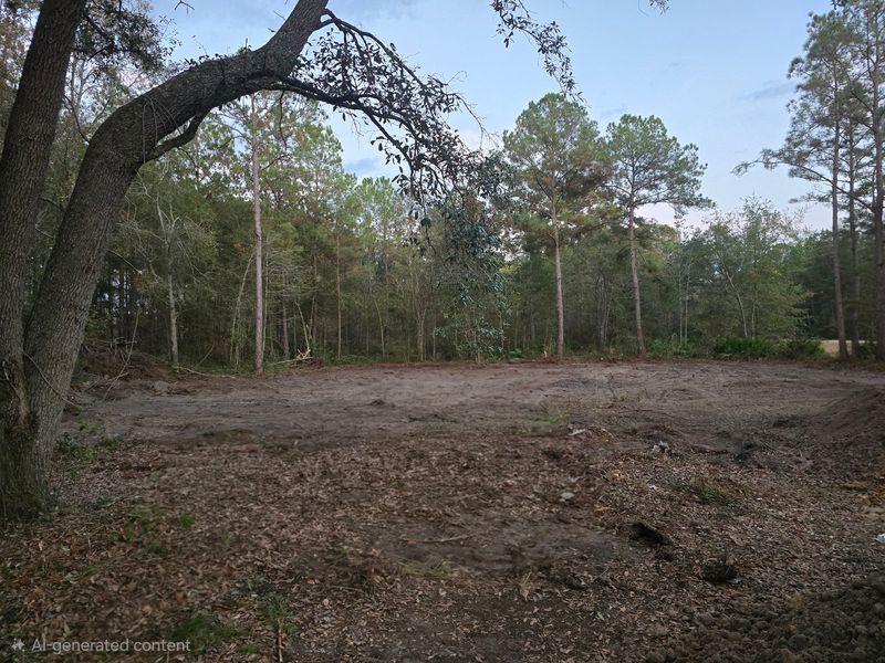 Land Clearing