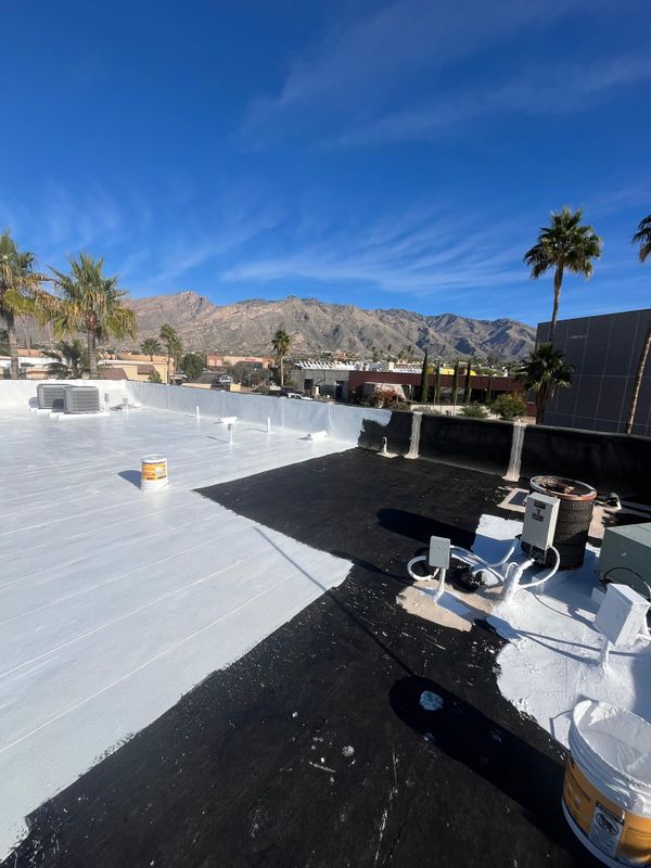 Roof Coating