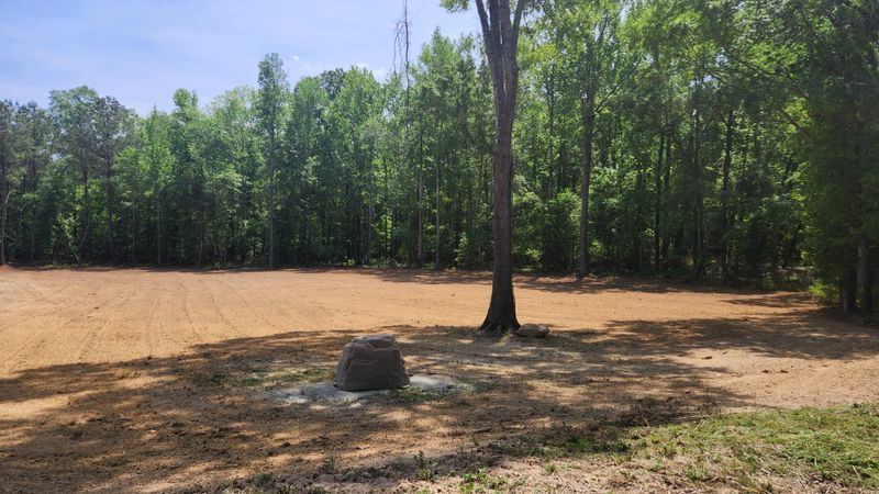 Stump Removal