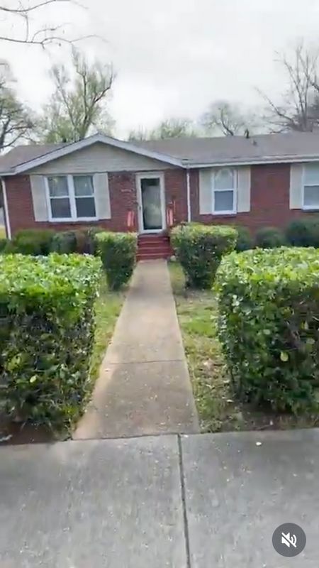 Shrub Trimming