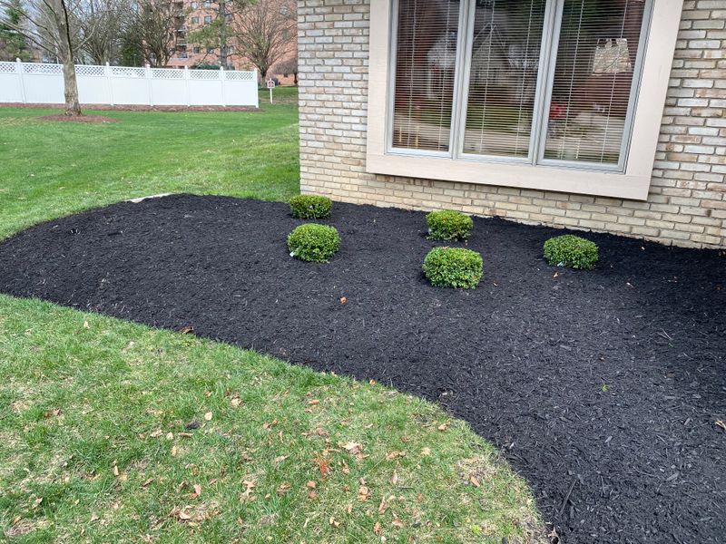 Landscape Design