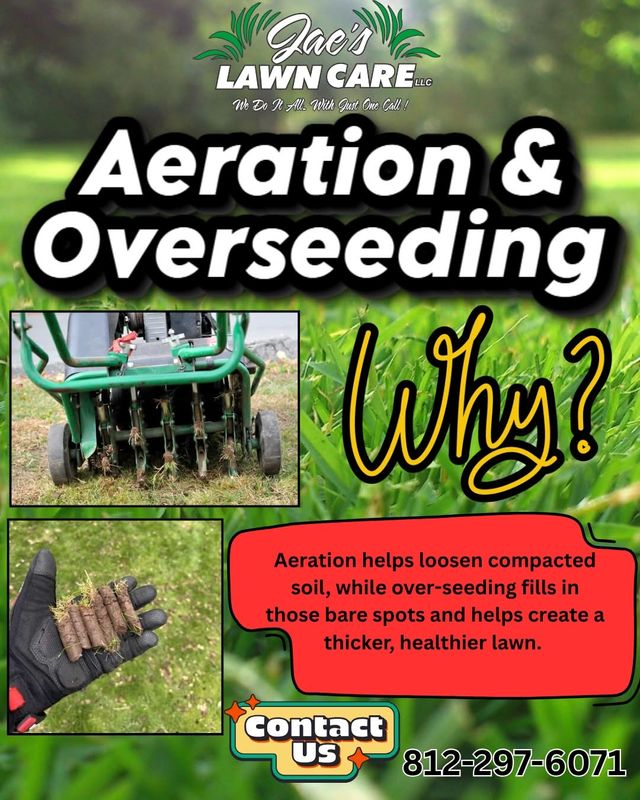Lawn Aeration