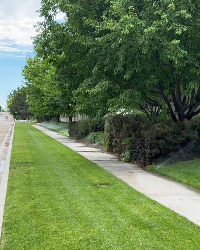 Commercial Lawn Maintenance