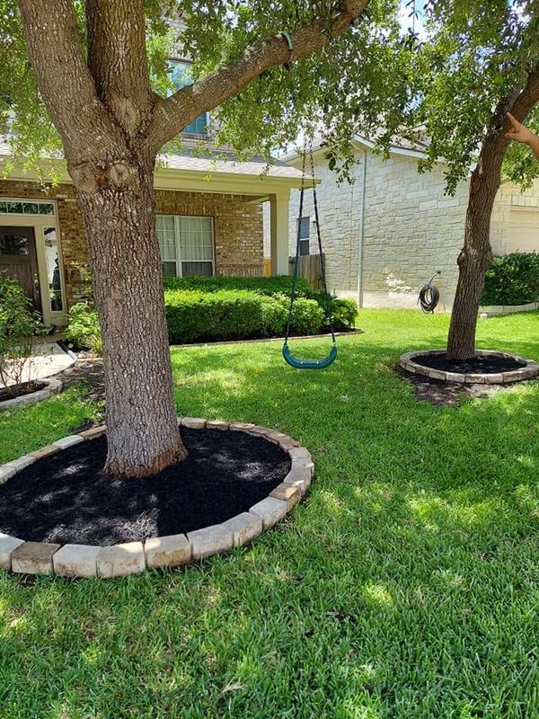 Tree and Shrub Care