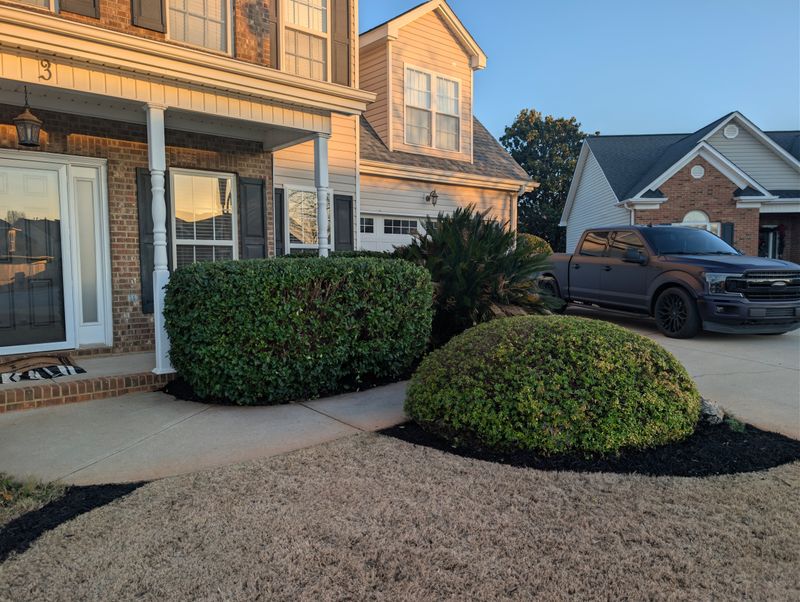 Mulch Installation