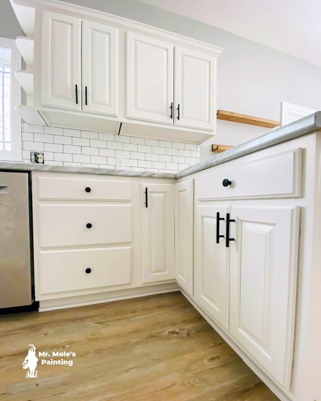 Kitchen and Cabinet Refinishing