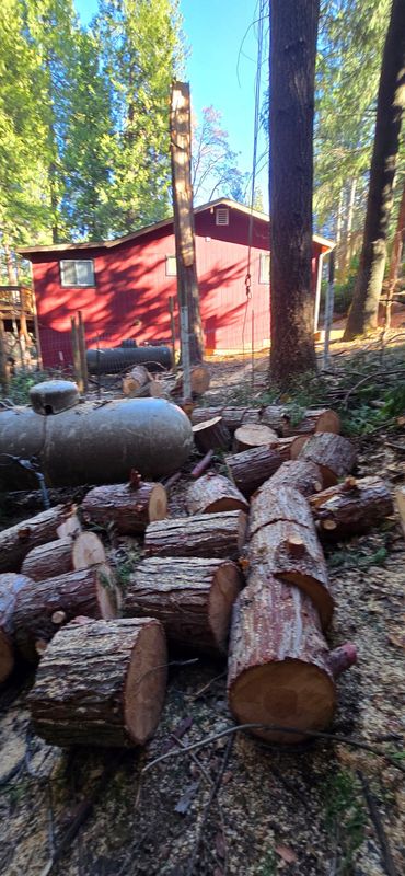 Stump Removal