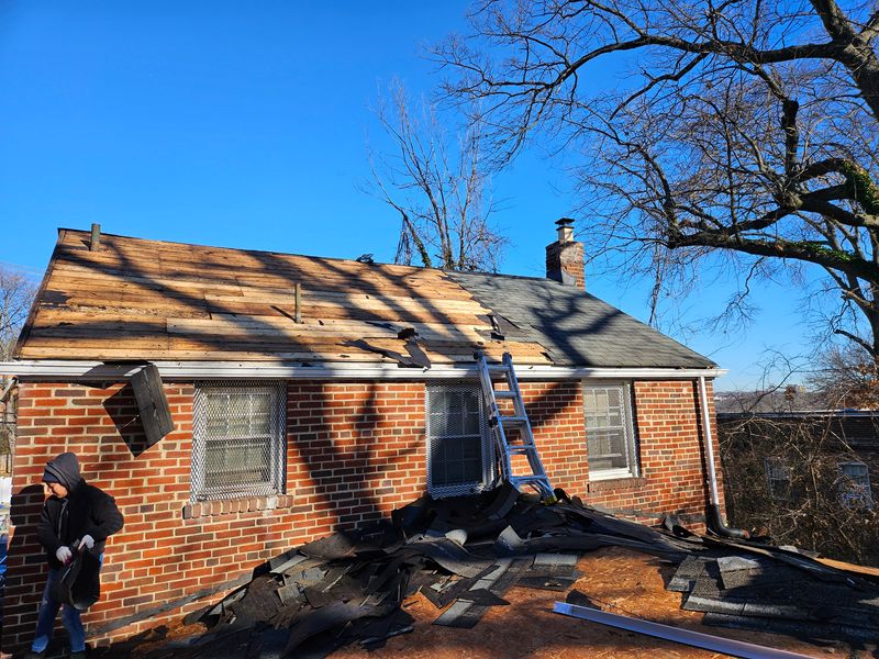 Shingle Roof Replacement