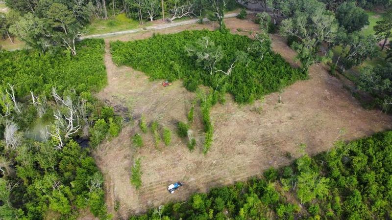 Land Clearing