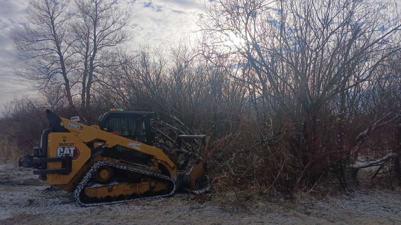 Forestry Mulching