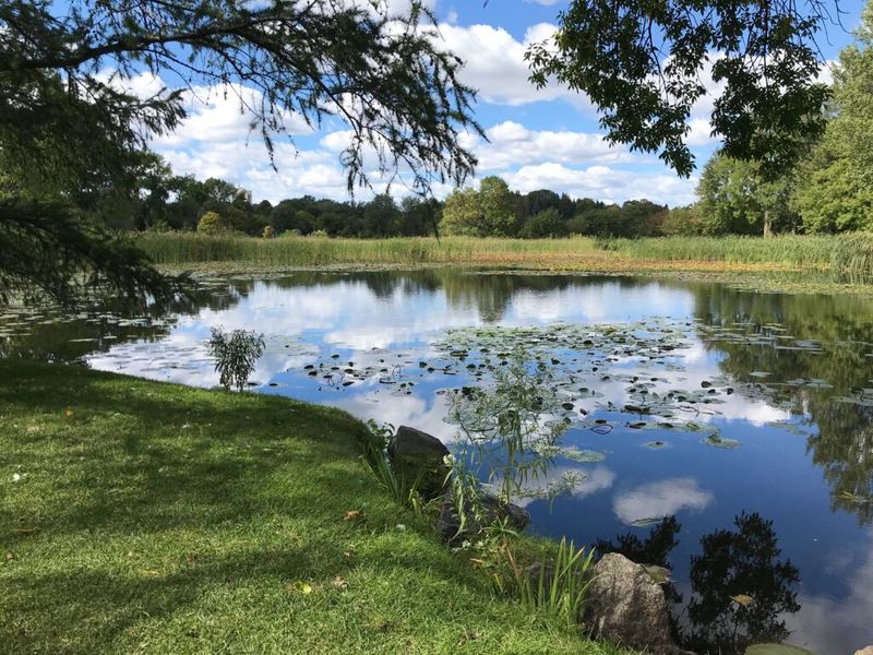 Pond Construction