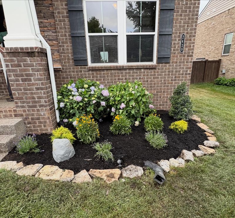 Lawn Maintenance