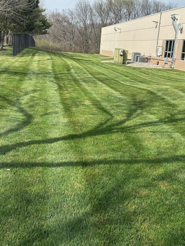 Lawn Mowing and Maintenance
