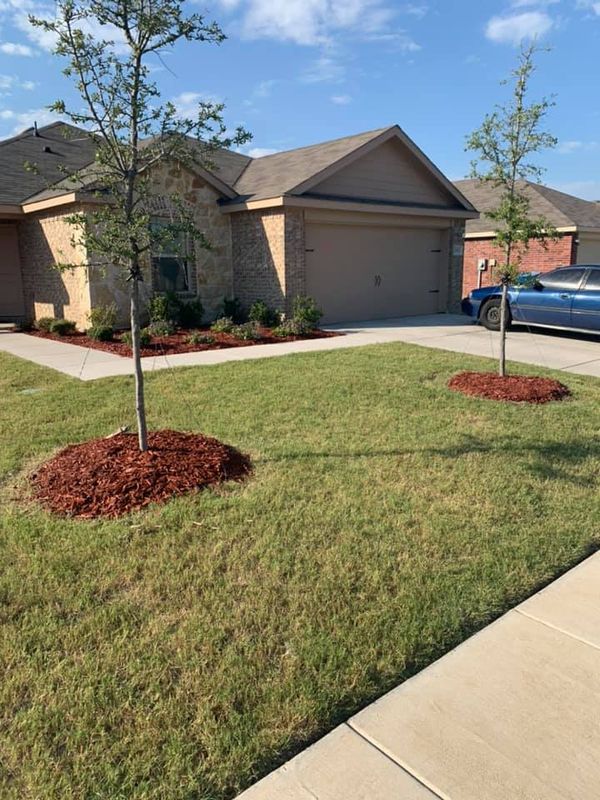 Landscaping