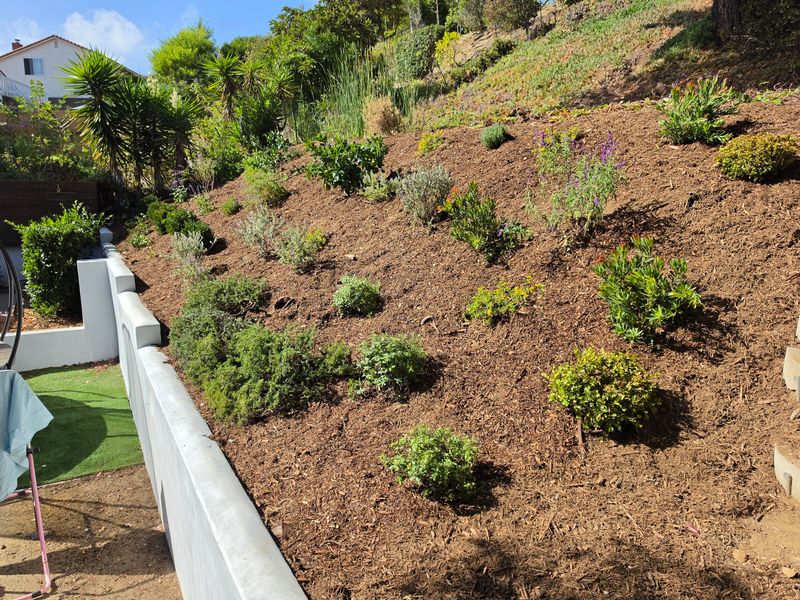 Erosion Control