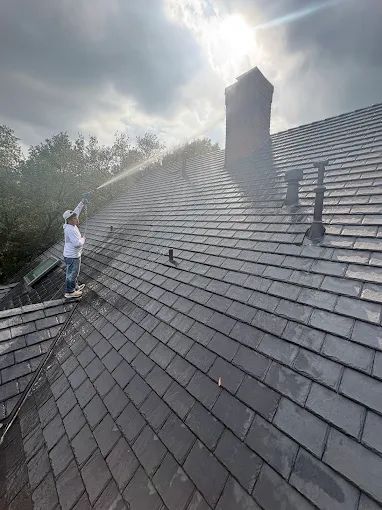 Roof Soft Washing