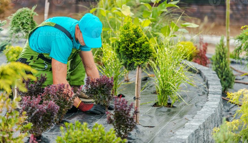 Landscape Management Service