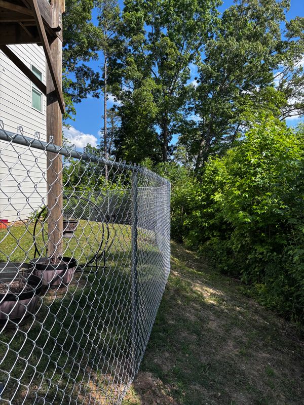 Chainlink Fences