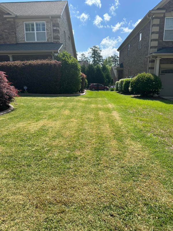 Landscaping