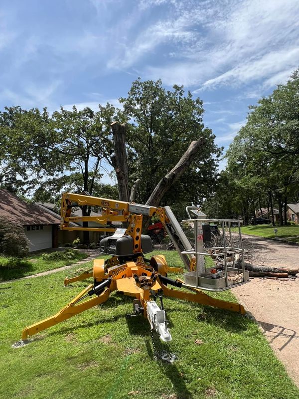 Tree Removal