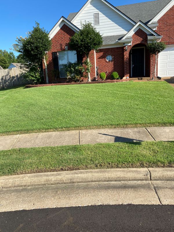 Lawncare gallery