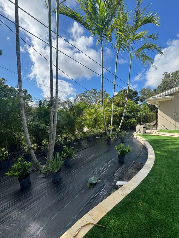 Lawn Care and Maintenance