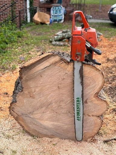 Tree Removal