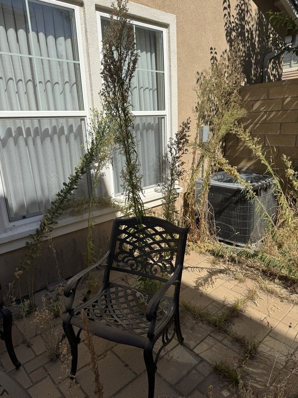Patio Design & Construction
