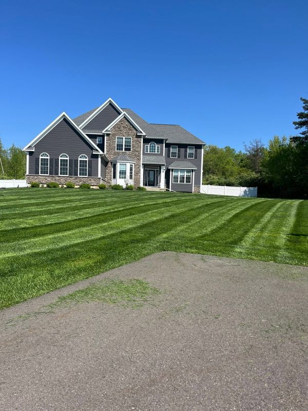 Lawn Mowing