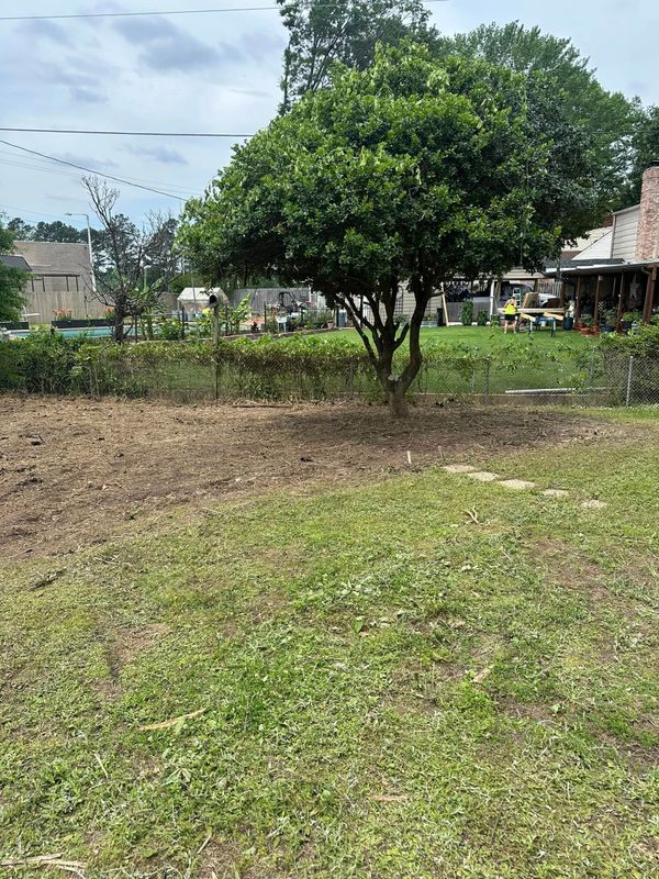 Land Clearing & Demolition
