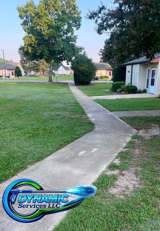 Driveway and Sidewalk Cleaning