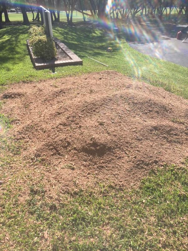 Stump Grinding