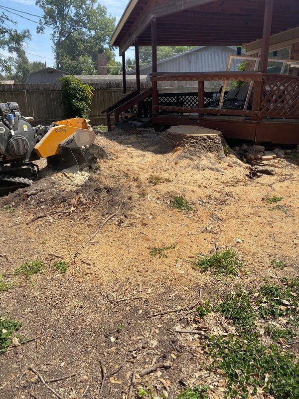 Stump Grinding gallery