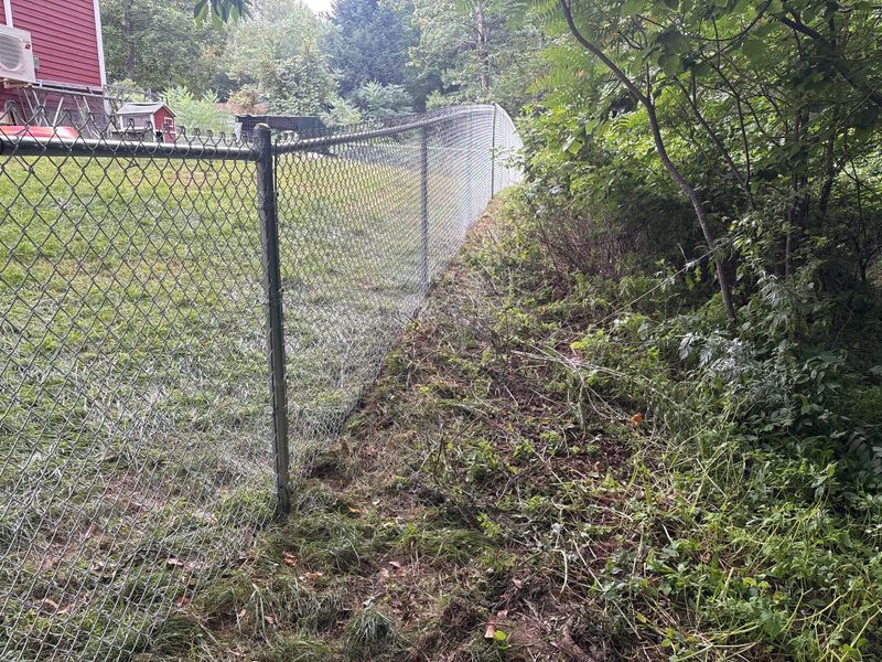 Chainlink Fencing