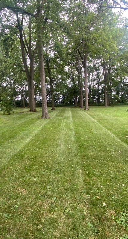 Lawn Maintenance
