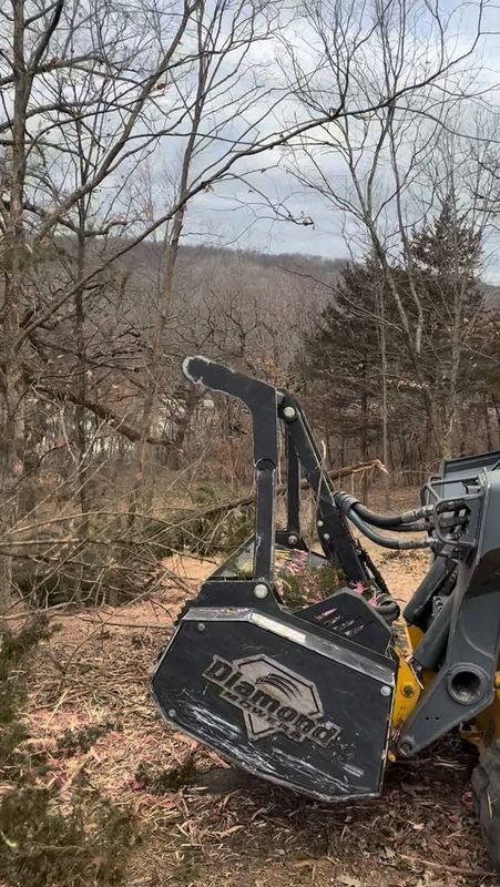 Forestry Mulching