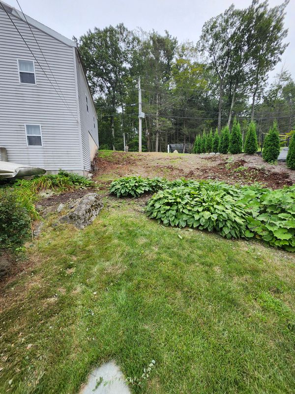 Muclhing & Weeding