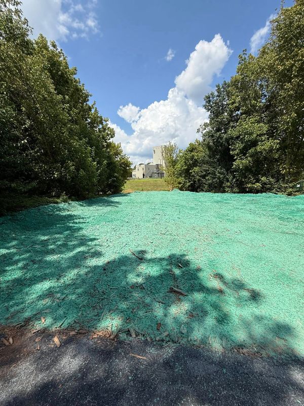Hydroseeding gallery