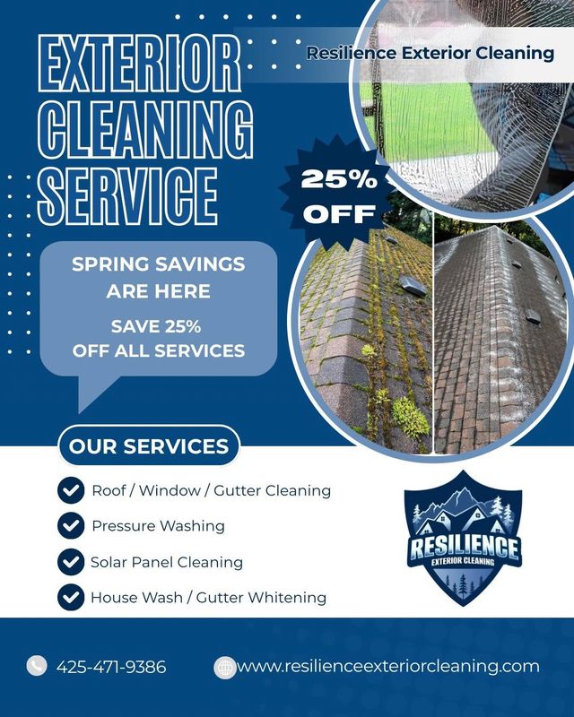 Window Cleaning