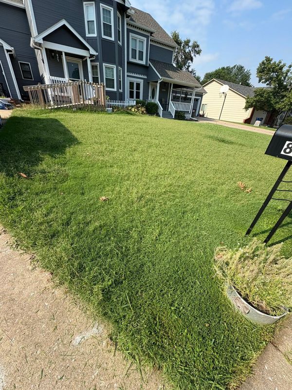 Lawn Maintenance