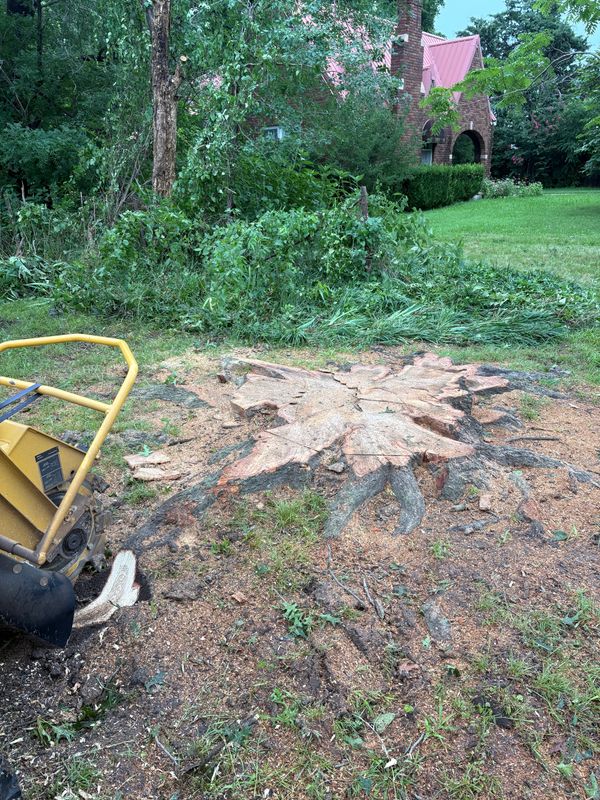Stump Removal