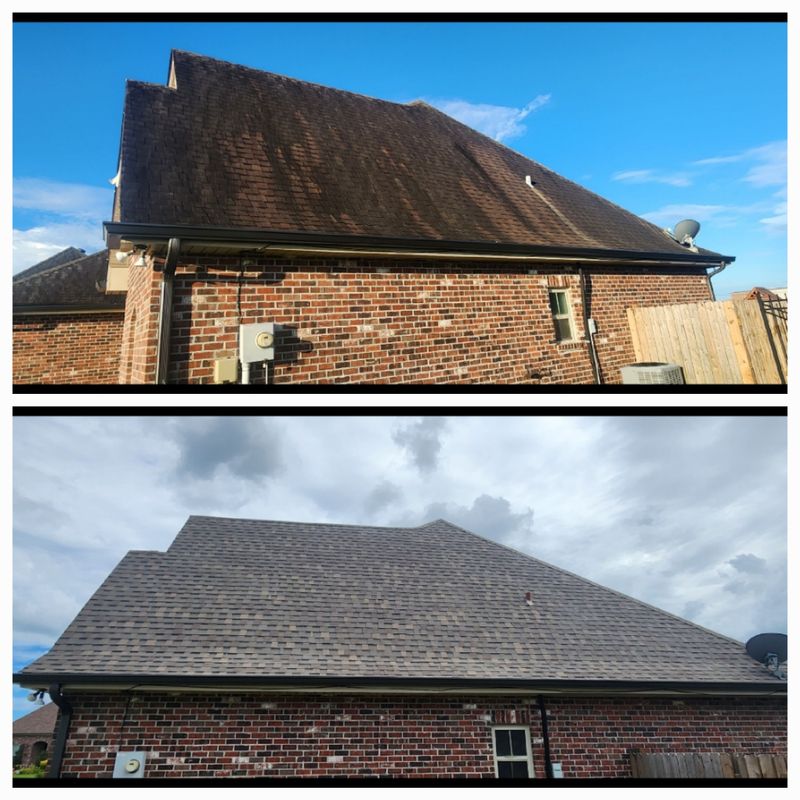 Roof Cleaning