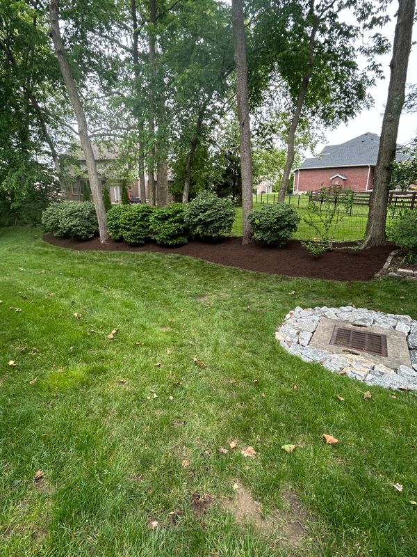 Mulching and Spring Cleanups