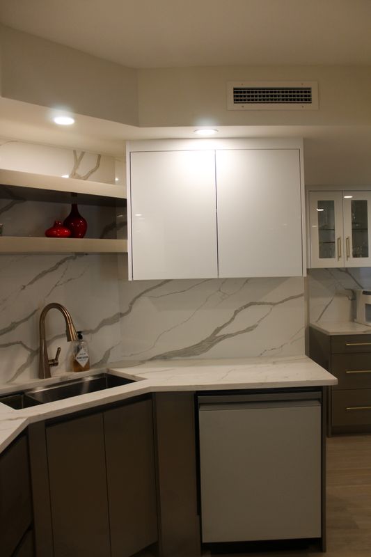 Condo Renovations