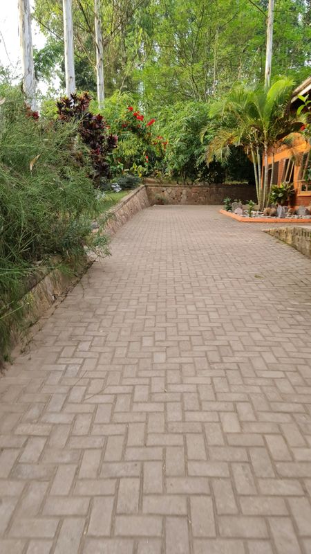 Stamped Concrete