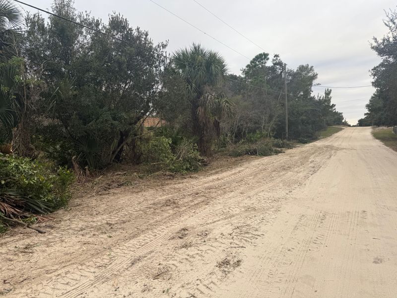 Land Clearing